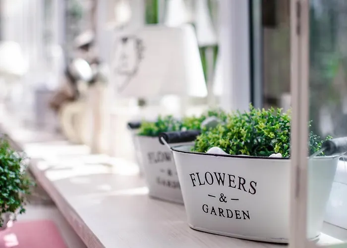 게스트하우스 H2o 3*