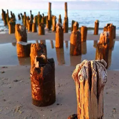 H2o 3* 포비에로보